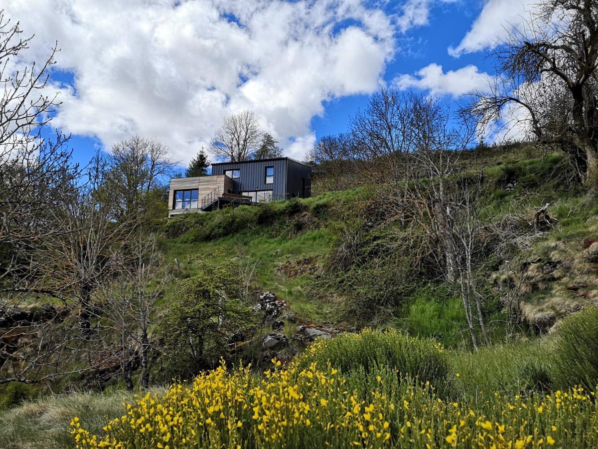 Maison D'Architecte En Pleine Nature Arlempdes Экстерьер фото